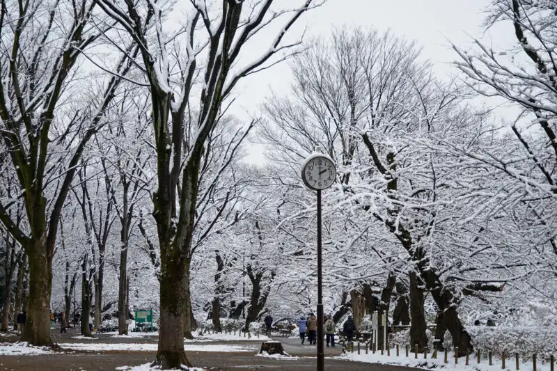 とある雪の日01