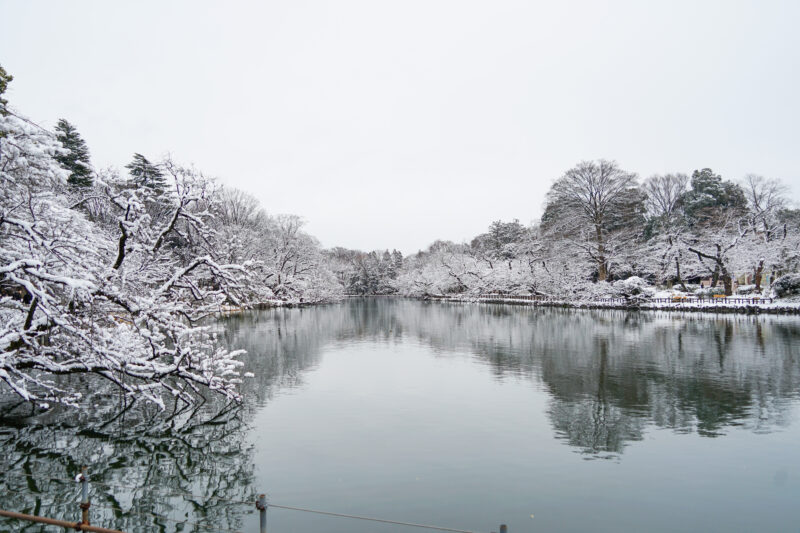 とある雪の日03