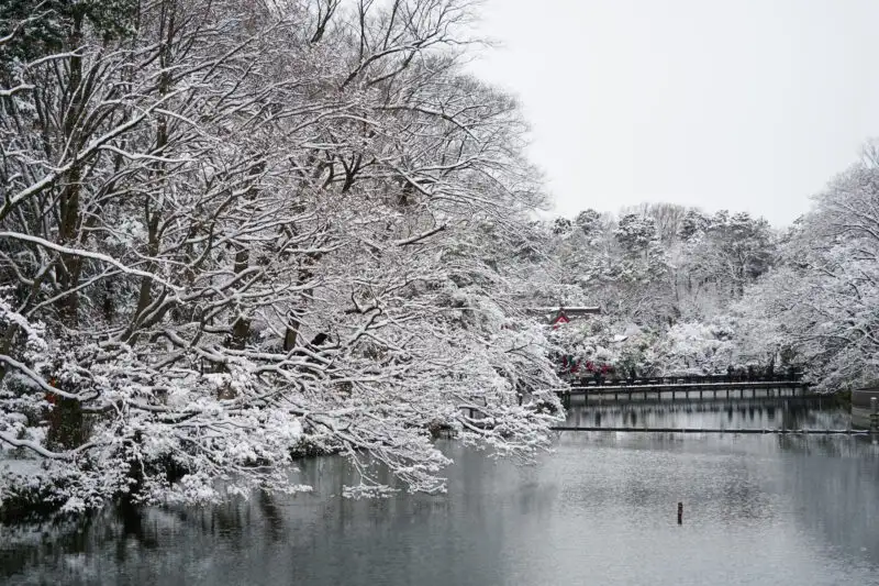 とある雪の日05